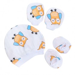 Shawn's Baby Infant Hat Glove and Sock Owl cartoon