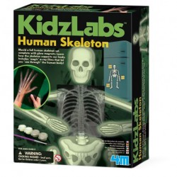 4M ของเล่น Kidz Labs - Glow Human Skeleton