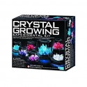 4M ของเล่น Crystal Growing Experimental Kit 